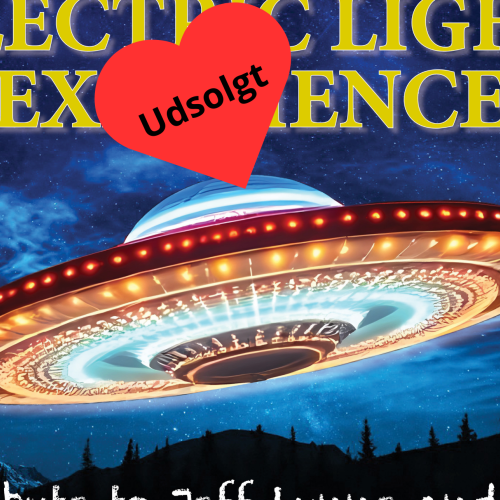 Electric Light Experience på Realen